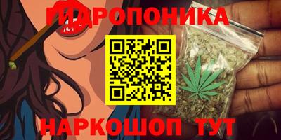 твердый Будённовск