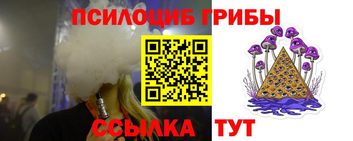 Сосновый Бор  Псилоцибиновые грибы прущие грибы  Вход с VPN 